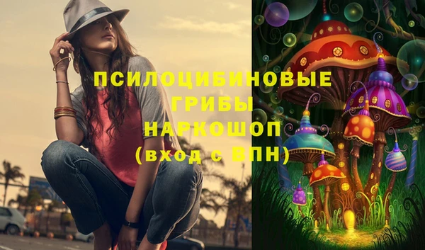 молекула духа Инта