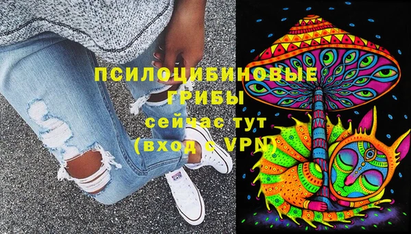 молекула духа Инта
